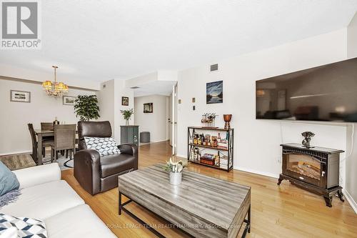 109 - 1705 Playfair Drive, Ottawa, ON - Indoor Photo Showing Living Room With Fireplace