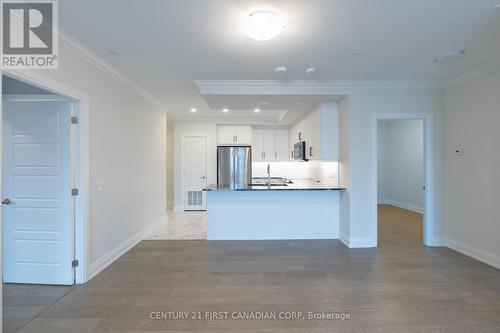 201 - 1975 Fountain Grass Drive, London, ON - Indoor Photo Showing Kitchen