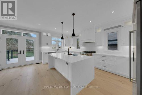 90 Howard Road, Newmarket, ON - Indoor Photo Showing Kitchen With Upgraded Kitchen