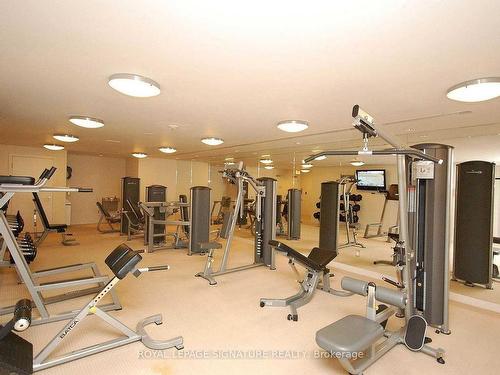 304-225 Webb Dr, Mississauga, ON - Indoor Photo Showing Gym Room