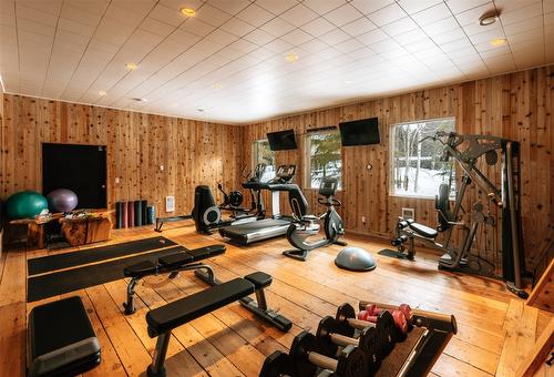 1944 Leidloff Road, Revelstoke, BC - Indoor Photo Showing Gym Room