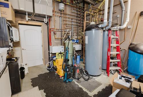 1944 Leidloff Road, Revelstoke, BC - Indoor Photo Showing Basement