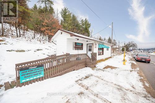 19666 Opeongo Line N, Greater Madawaska, ON 