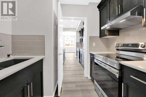 317 Corner Glen Way Ne, Calgary, AB - Indoor Photo Showing Kitchen With Stainless Steel Kitchen With Upgraded Kitchen