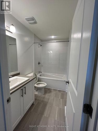 133 Lemon Leaf Lane, Ottawa, ON - Indoor Photo Showing Bathroom