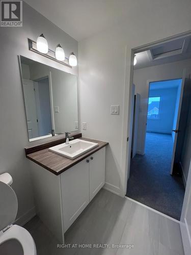 133 Lemon Leaf Lane, Ottawa, ON - Indoor Photo Showing Bathroom