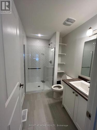 133 Lemon Leaf Lane, Ottawa, ON - Indoor Photo Showing Bathroom