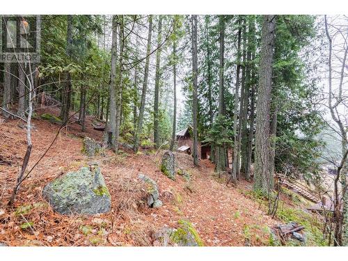 5671 Longbeach Road, Nelson, BC - Outdoor