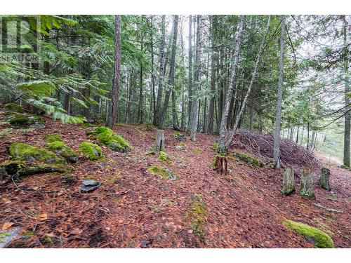 5671 Longbeach Road, Nelson, BC - Outdoor