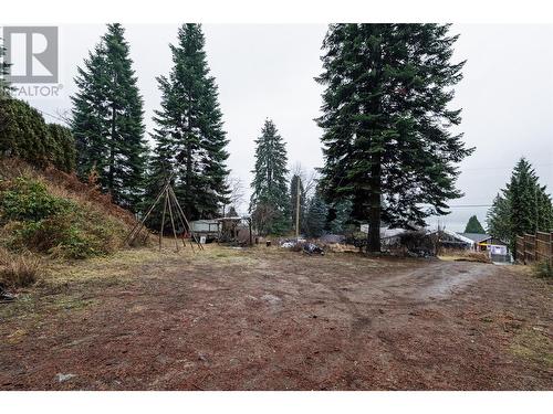 5671 Longbeach Road, Nelson, BC - Outdoor