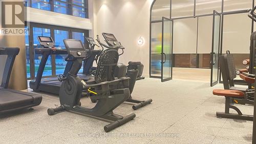 206 - 1415 Dundas Street E, Oakville (1010 - Jm Joshua Meadows), ON - Indoor Photo Showing Gym Room