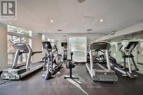 315 - 23 Lorraine Drive, Toronto, ON - Indoor Photo Showing Gym Room