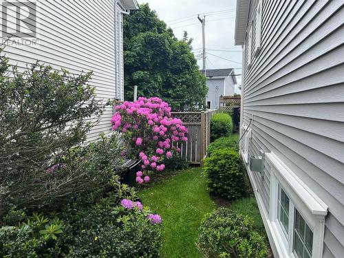 4 Baker Street, St. John'S, NL - Outdoor