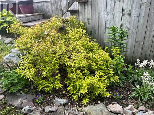 4 Baker Street, St. John'S, NL - Outdoor