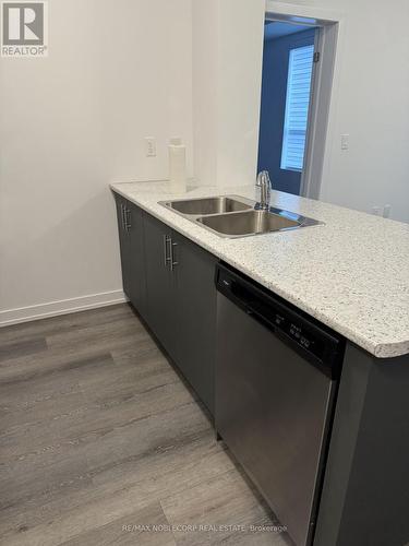 534 - 5055 Greenlane Road, West Lincoln, ON - Indoor Photo Showing Kitchen With Double Sink