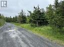 249-269 Forest Road Extension, Carbonear, NL 