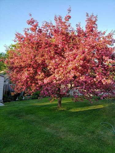 3 Cedar Walk, Marathon, ON - Outdoor