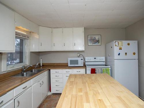 406 Synidcate Avenue N, Thunder Bay, ON - Indoor Photo Showing Kitchen With Double Sink