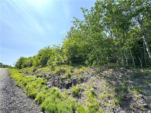 000 Route 127, Bocabec, NB 