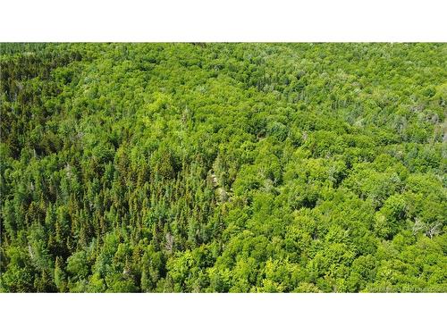 000 Route 127, Bocabec, NB 