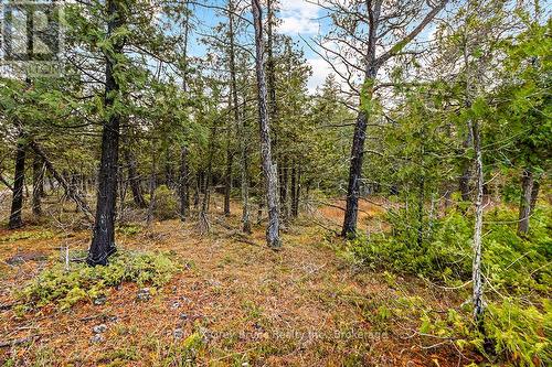 660 Dorcas Bay Road, Northern Bruce Peninsula, ON 