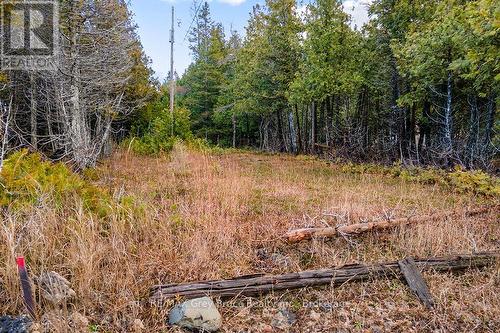 660 Dorcas Bay Road, Northern Bruce Peninsula, ON 