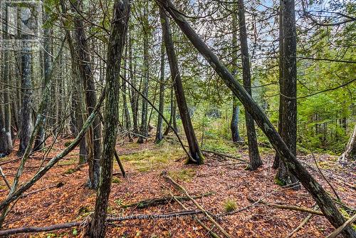 660 Dorcas Bay Road, Northern Bruce Peninsula, ON 