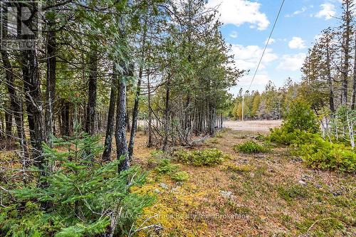 660 Dorcas Bay Road, Northern Bruce Peninsula, ON 