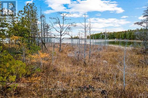 660 Dorcas Bay Road, Northern Bruce Peninsula, ON 