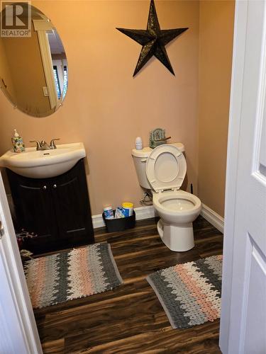 12 Old Farm Road, Harbour Breton, NL - Indoor Photo Showing Bathroom