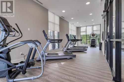 102 - 130 Canon Jackson Drive, Toronto, ON - Indoor Photo Showing Gym Room