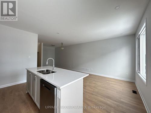 905 Dignity Place, Ottawa, ON - Indoor Photo Showing Kitchen With Double Sink