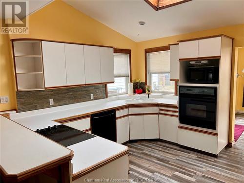 12 Lumley Street, Blenheim, ON - Indoor Photo Showing Kitchen With Double Sink