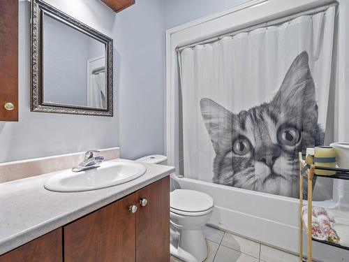 Salle de bains - 253  - 263 Rue Principale, Grenville, QC - Indoor Photo Showing Bathroom