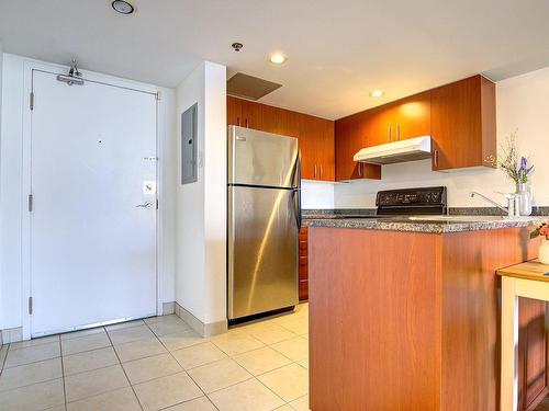 Autre - 1102-88 Rue Charlotte, Montréal (Ville-Marie), QC - Indoor Photo Showing Kitchen