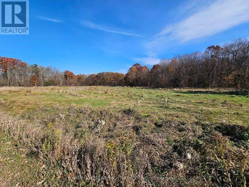 5127 Milburough Line, Burlington, ON - Outdoor With View