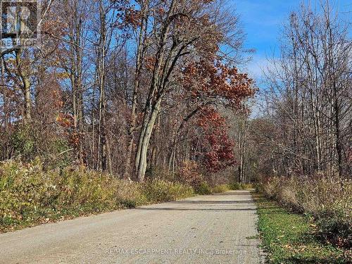 5127 Milburough Line, Burlington, ON - Outdoor With View