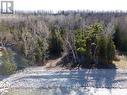 504501 Grey Rd 1, Georgian Bluffs, ON 