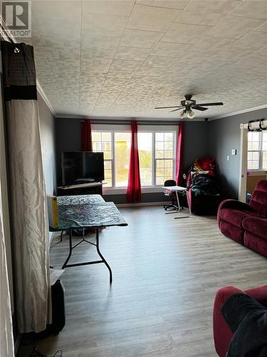 6 Seaview Crescent Extension, New-Wes-Valley, NL - Indoor Photo Showing Living Room