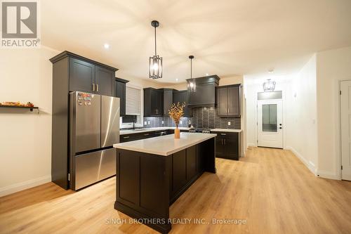 207 Gibbons Street, Norfolk, ON - Indoor Photo Showing Kitchen With Upgraded Kitchen