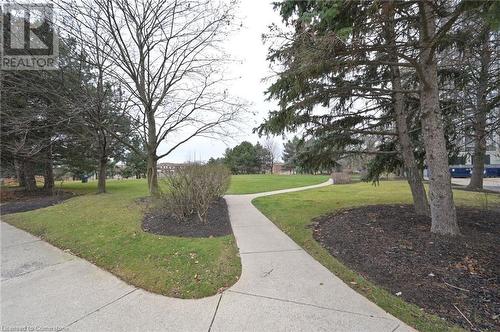 View of home's community with a yard - 305 Webb Drive Unit# 308, Mississauga, ON 