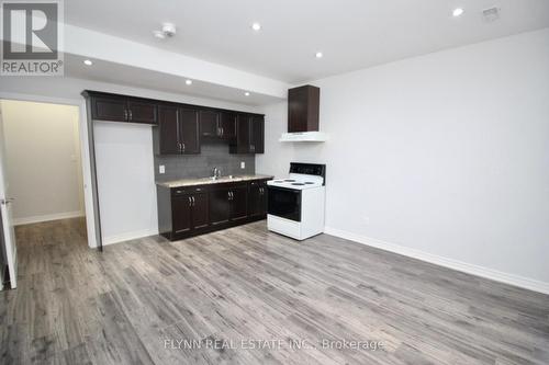 Bsmnt - 12 Antwerp Street, St. Catharines, ON - Indoor Photo Showing Kitchen With Double Sink