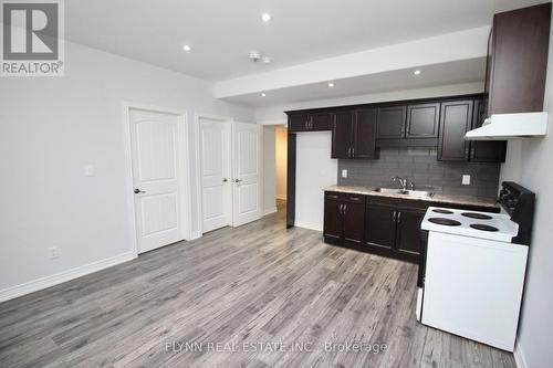 Bsmnt - 12 Antwerp Street, St. Catharines, ON - Indoor Photo Showing Kitchen With Double Sink