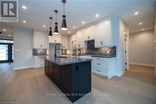 195 Boyd Lake Road, West Grey, ON - Indoor Photo Showing Kitchen With Upgraded Kitchen