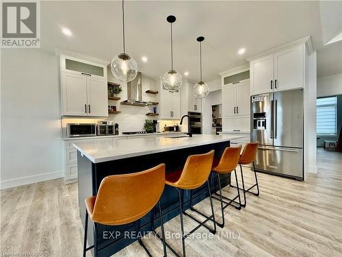 213 Devinwood Ave, Brockton, ON - Indoor Photo Showing Kitchen With Stainless Steel Kitchen With Upgraded Kitchen