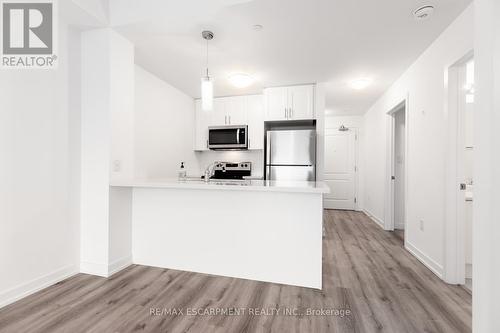 407 - 450 Dundas Street, Hamilton, ON - Indoor Photo Showing Kitchen With Stainless Steel Kitchen