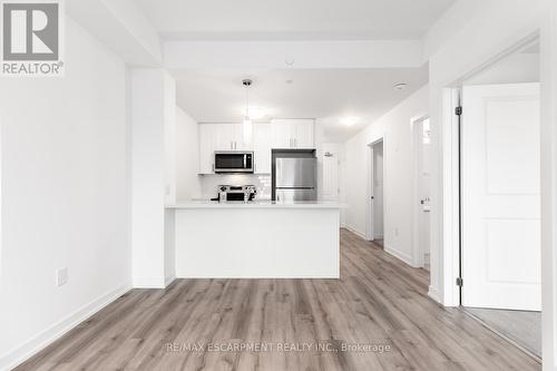 407 - 450 Dundas Street, Hamilton, ON - Indoor Photo Showing Kitchen