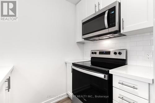 407 - 450 Dundas Street, Hamilton, ON - Indoor Photo Showing Kitchen