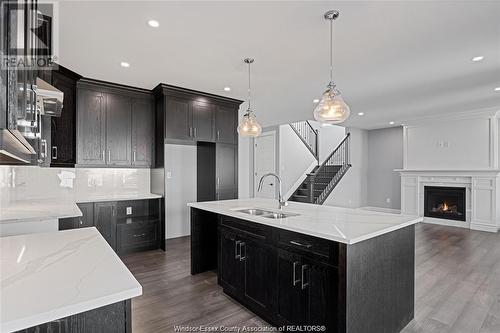 19 Belleview Drive, Kingsville, ON - Indoor Photo Showing Kitchen With Double Sink