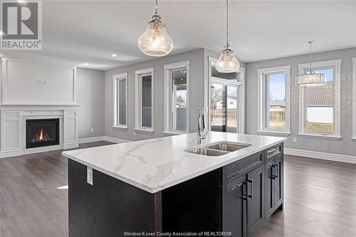 19 Belleview Drive, Kingsville, ON - Indoor Photo Showing Kitchen With Fireplace With Double Sink